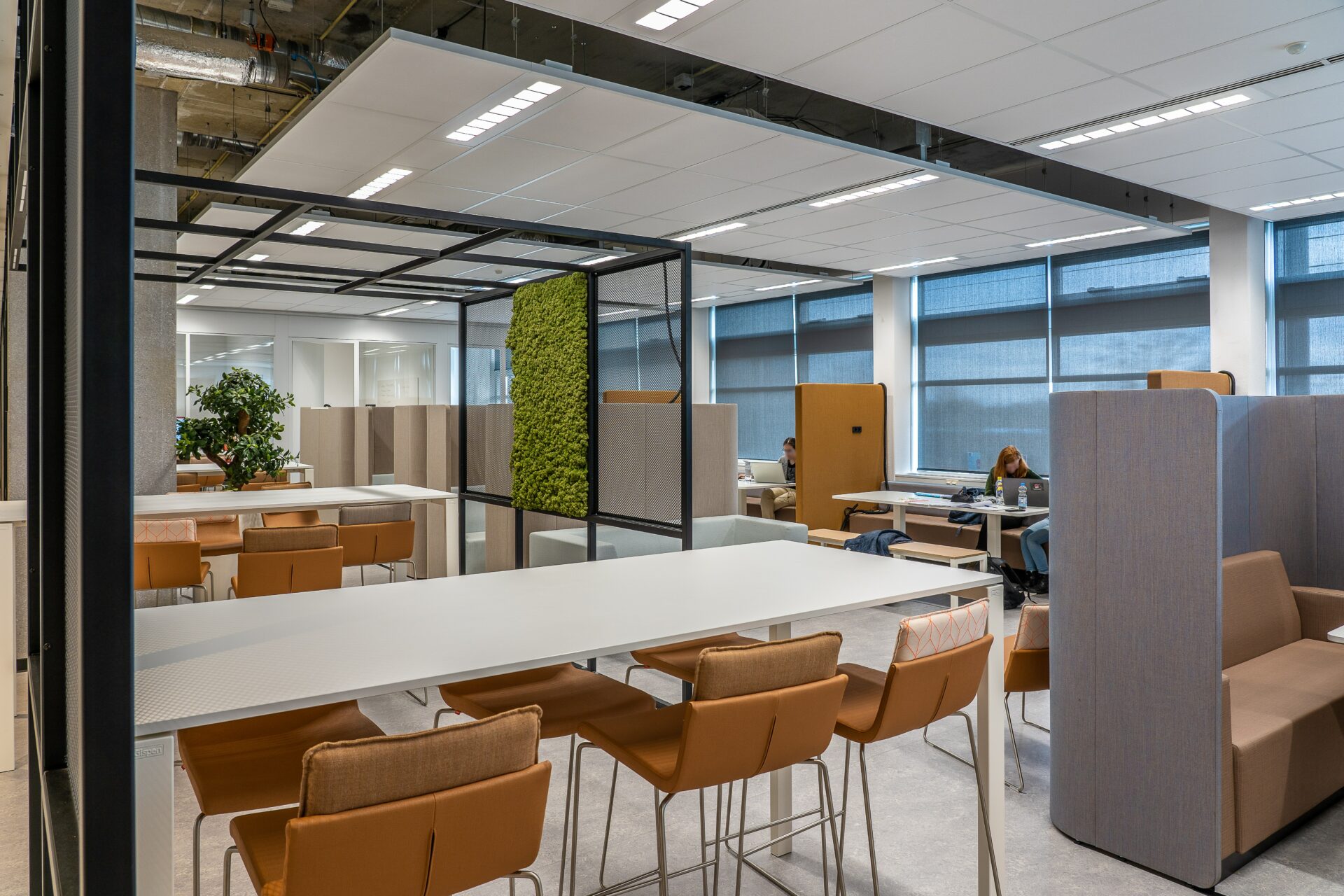 Coworking Space vs Sewa Kantor: Lebih Efektif Yang Mana?